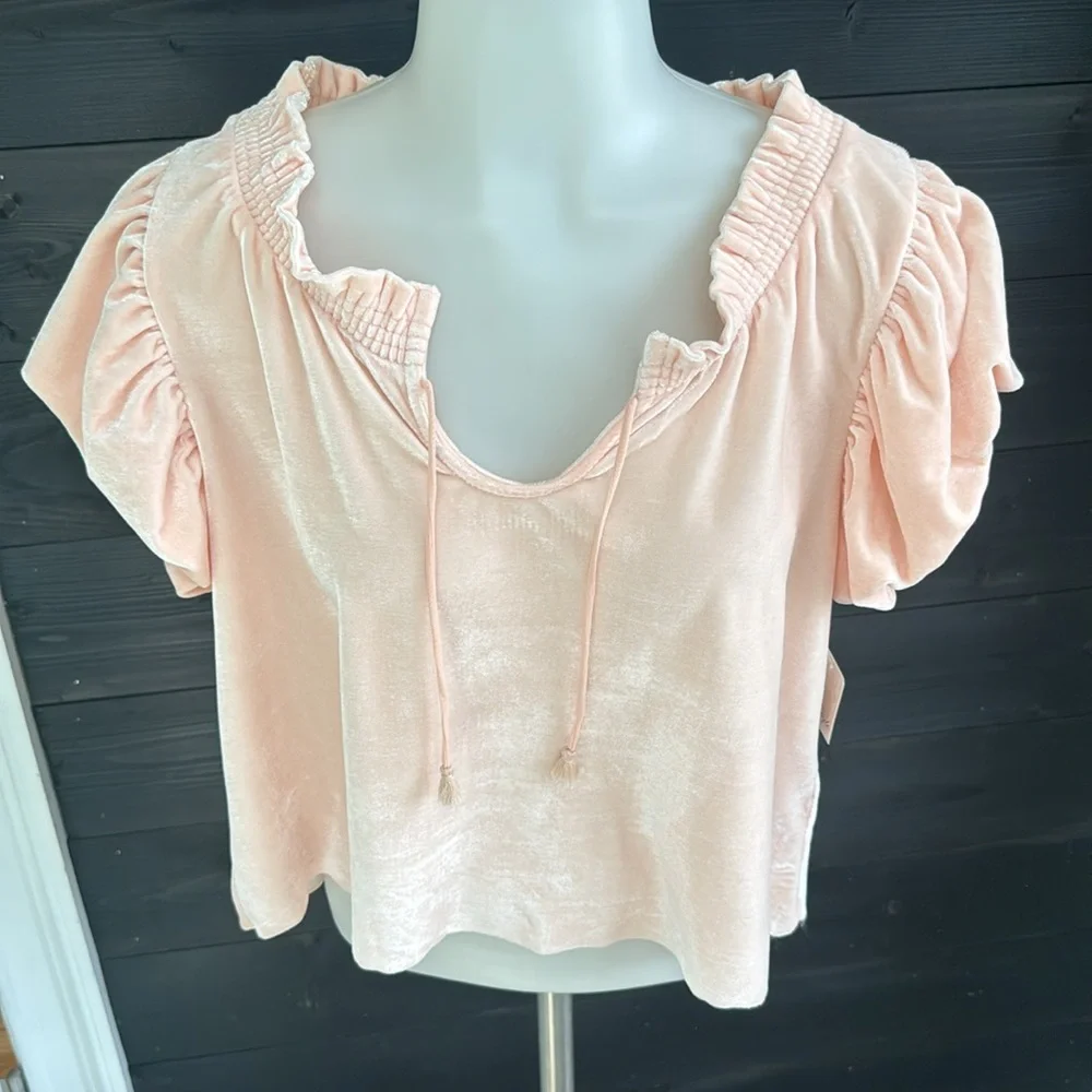 NEW‎ FREE PEOPLE  Terese Velvet Top in Pink Tint